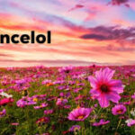 Florncelol
