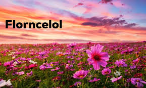 Florncelol: A Fresh Perspective on Digital Innovation and Scalable Growth